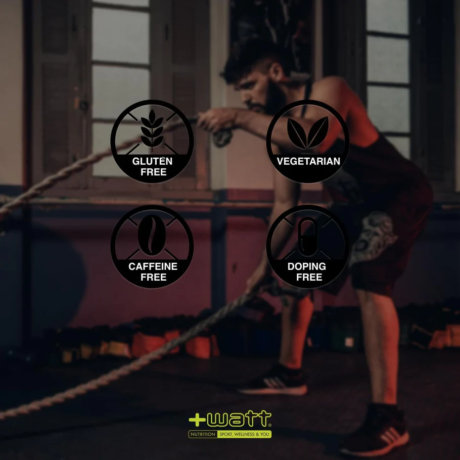 Proteine in polvere +WATT WHEYGHTY protein 90 isolate